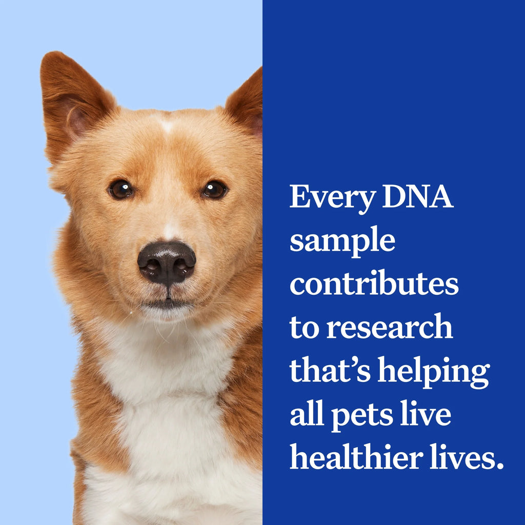 Essential, Breed Identification & Health Condition Identification, Dog DNA Test Kit