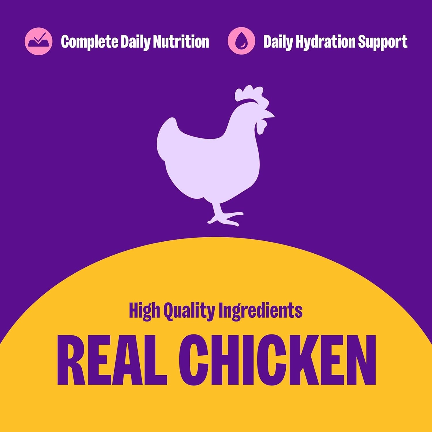 Complete Health Pate Adult Wet Cat Food, Natural, Protein-Rich, Grain Free, 12.5 Ounce, 12 Pack, (Chicken)